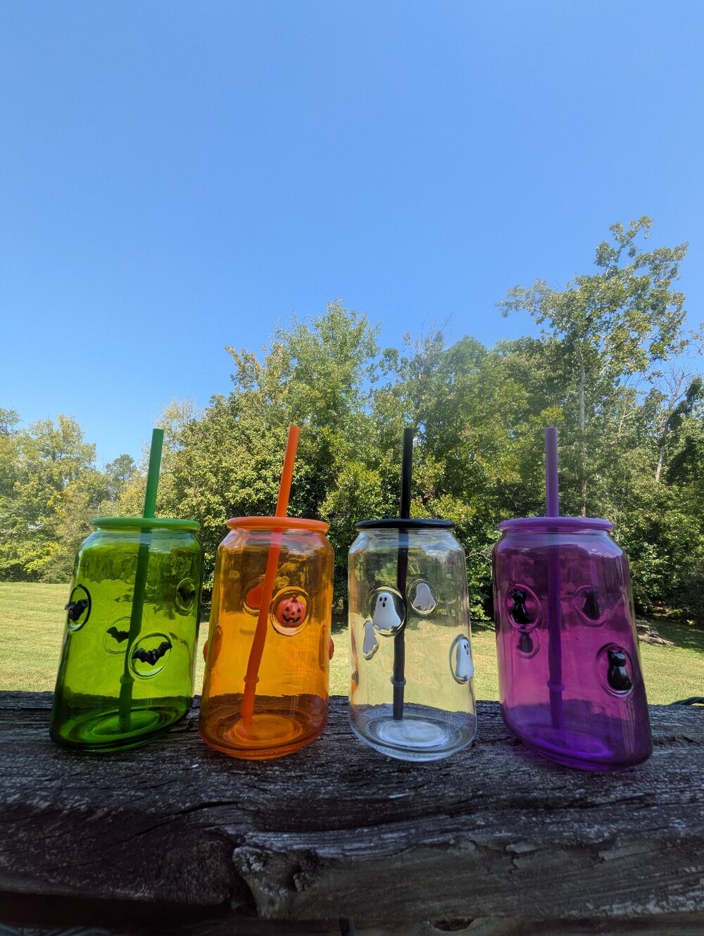Viral Halloween Icon Glass Tumblers Set - Bat, Jack-o'-lantern, Ghost, & Cat